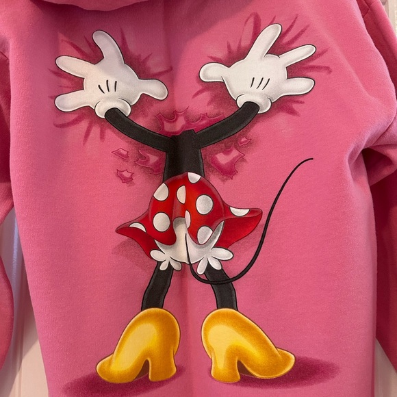Disney Resort Pink Hoodie - Picture 6 of 7